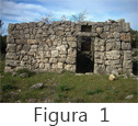Figura 1