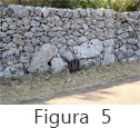 Figura 5