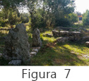Figura 7