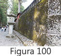 Figura 100
