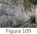 Figura 109