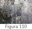 Figura 110