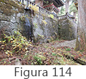 Figura 114