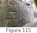 Figura 115