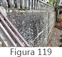 Figura 119