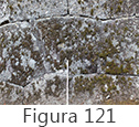 Figura 121