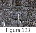 Figura 123