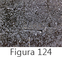 Figura 124
