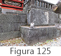 Figura 125