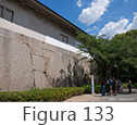Figura 133