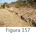 Figura 157