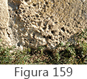 Figura 159
