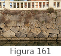 Figura 161
