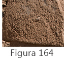 Figura 164