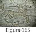 Figura 165