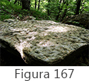 Figura 167