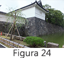 Figura 24