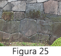 Figura 25