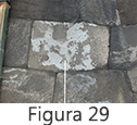 Figura 29