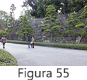 Figura 55