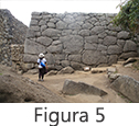 Figura 5