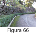Figura 66