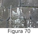Figura 70