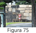 Figura 75