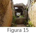 Figura 15