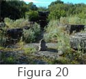 Figura 20