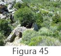 Figura 45